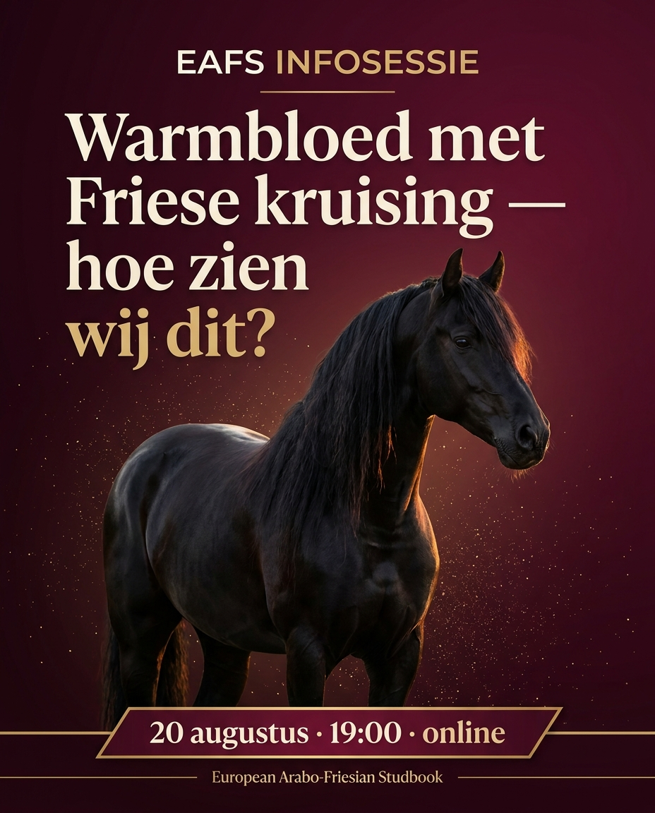 EAFS infosessie