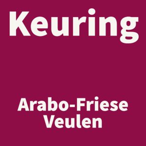 Keuring Veulen